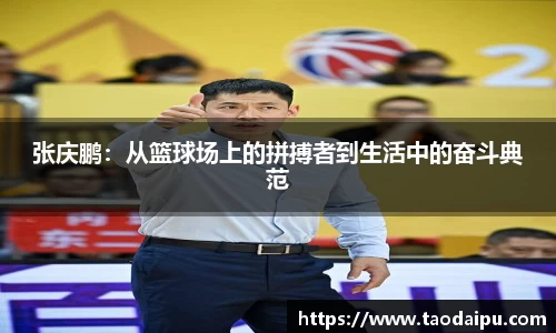 bsports官网登录入口