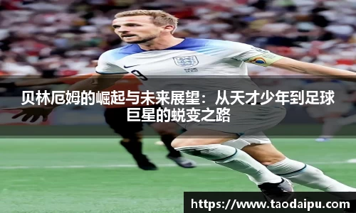 bsports官网入口